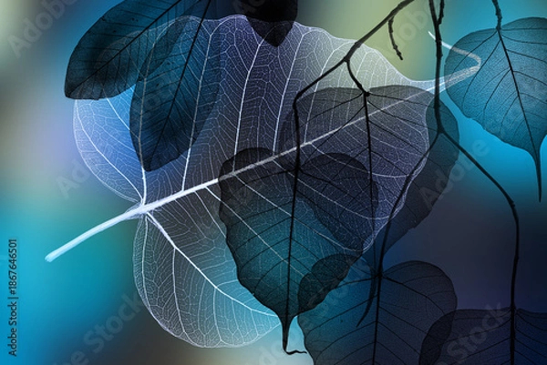 Obraz leaf texture, leaf background with veins and cells