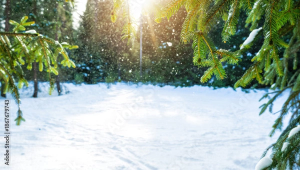Obraz Winter forest scene with fresh snow
