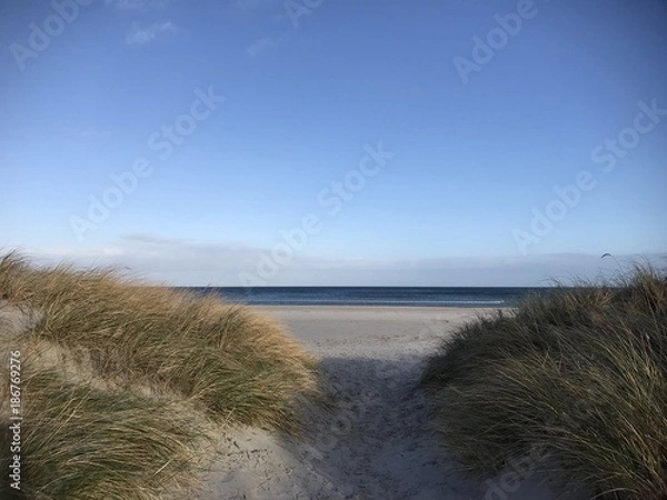 Obraz Weg zum Prerower Ostseestrand durch die Dünen