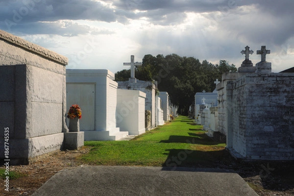 Obraz Crypts line Cemetery Path