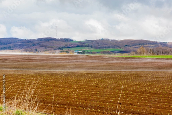 Obraz 水蒸気の上がる畑