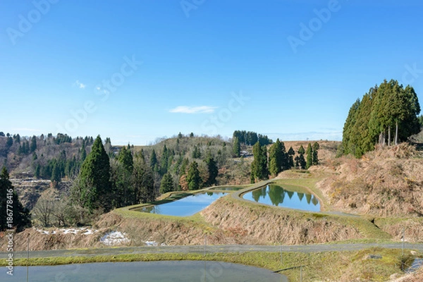 Obraz 新潟県長岡市の山間部稲作地帯山古志、初冬の千枚田・棚田・棚池の風景