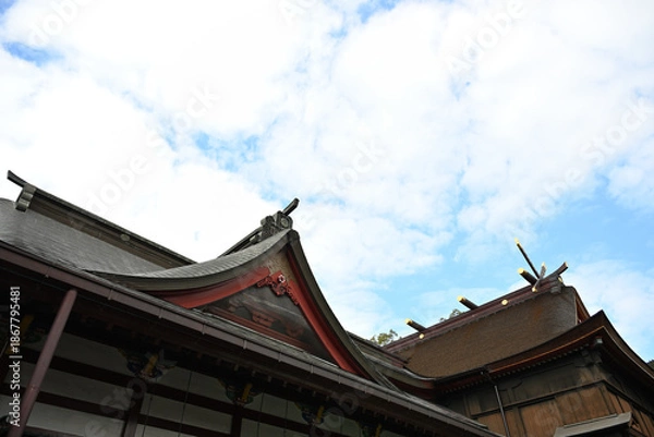 Obraz 見上げる鹿児島神宮