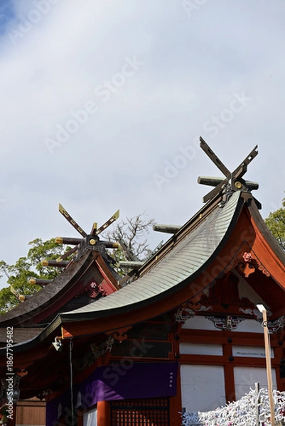 Obraz 鹿児島神宮の新年