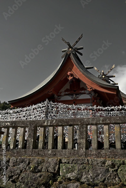 Obraz おみくじが飾られる鹿児島神宮