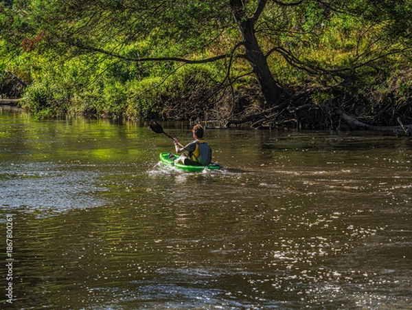 Obraz Paddling On Shaded River Down Stream