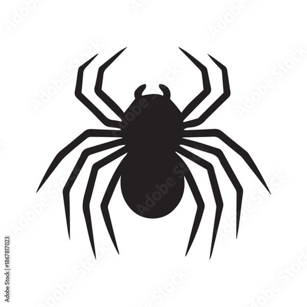 Obraz spider on a white background