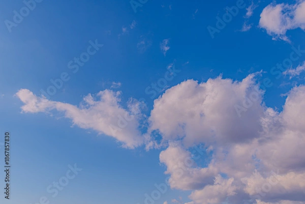 Obraz 青空に放たれる雲