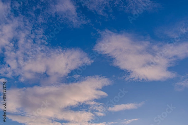 Fototapeta 青空に集う