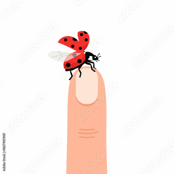 Obraz Ladybug on Human Finger Illustration.