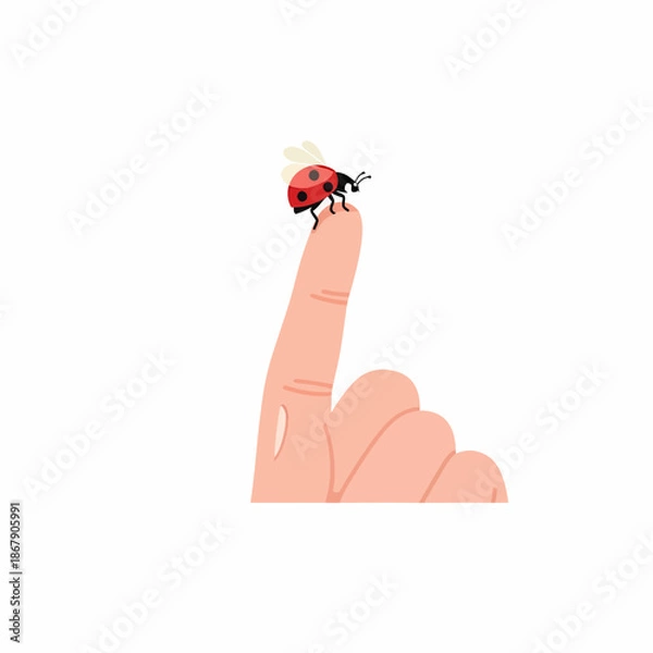 Obraz Ladybug on Human Finger Illustration.