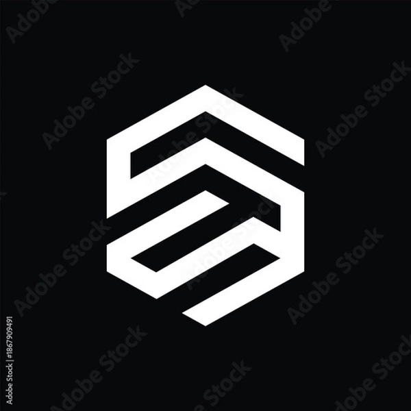 Obraz Modern Geometric Hexagonal Lettermark SS Logo