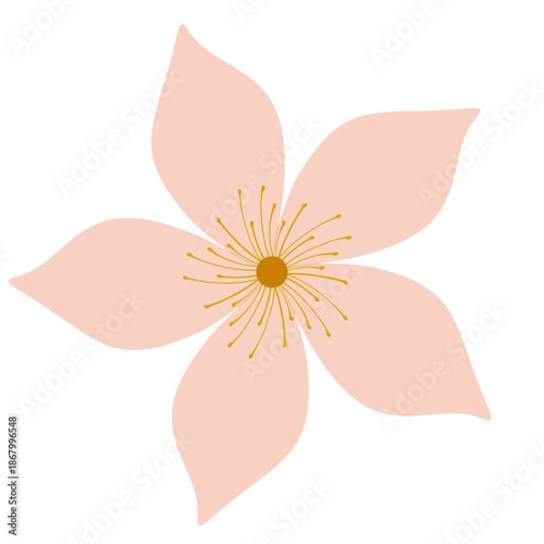 Obraz pink flower isolated on white