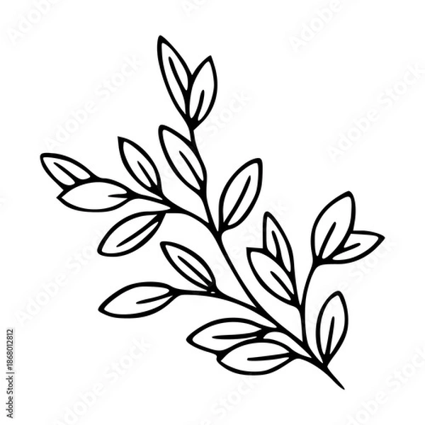 Obraz simple botanical leaf branch outline vector