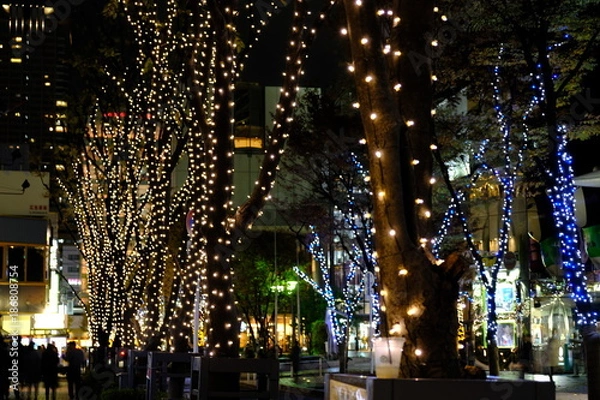 Obraz 初めての冬