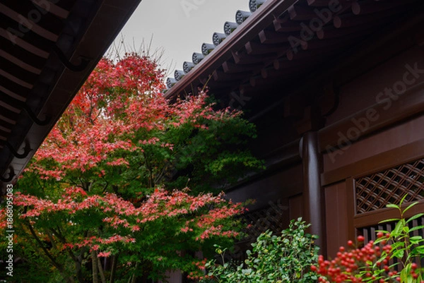Obraz Maple Trees in Temple Architecture