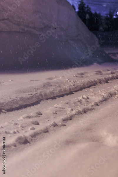 Obraz 夜の街灯に照らされる静かな雪道
