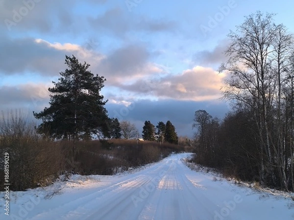 Obraz road in winter