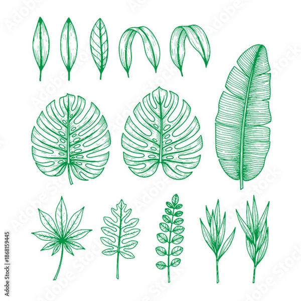 Obraz Leaf Linear Collections