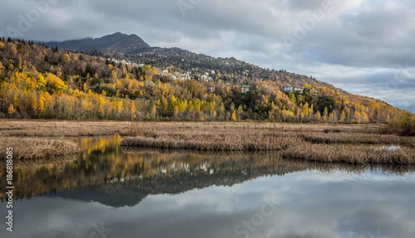 Fototapeta Potters Marsh