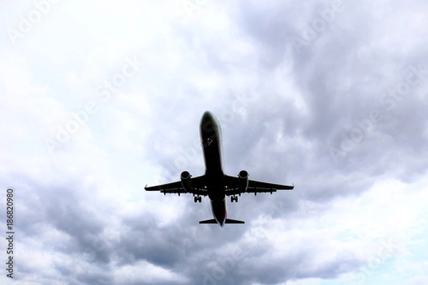 Fototapeta 旅客機のシルエット