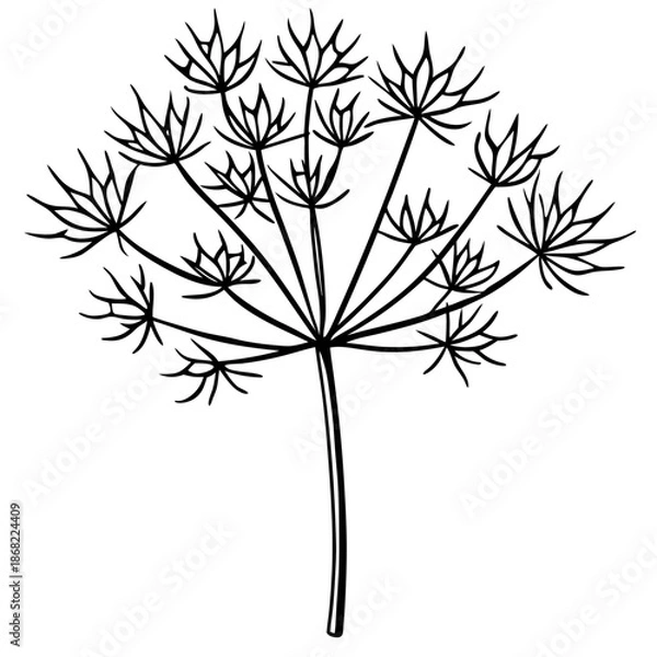 Obraz Dill line art vector