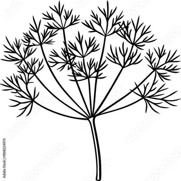 Obraz Dill line art vector