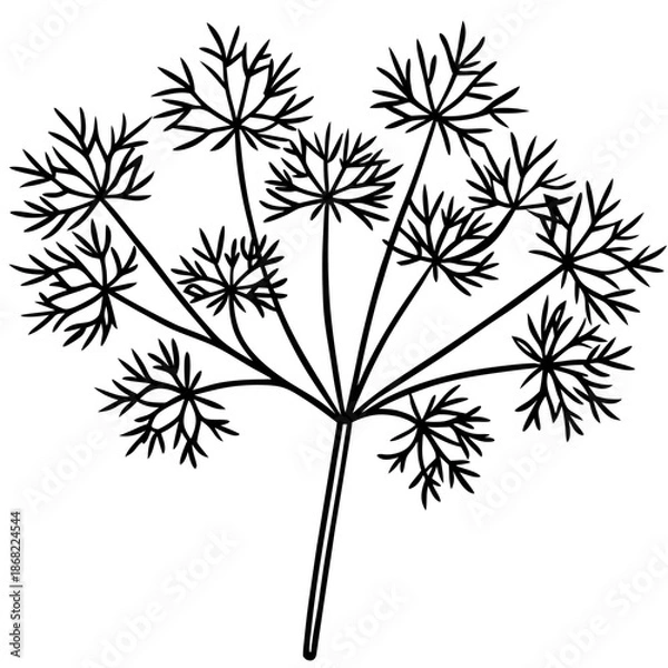 Obraz Dill line art vector