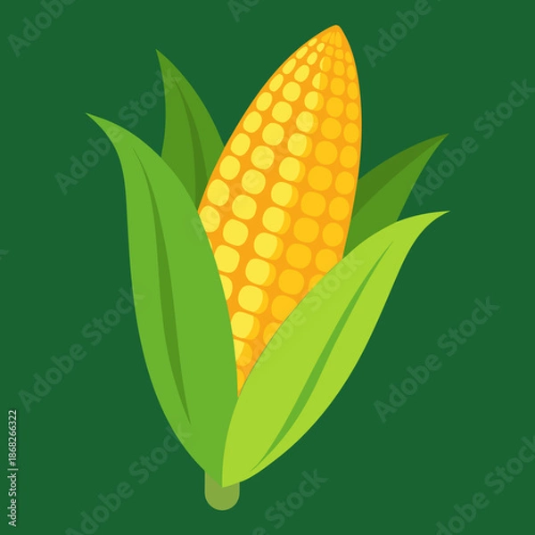 Obraz vector illustration of corn