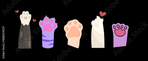 Obraz hand raised on the cat