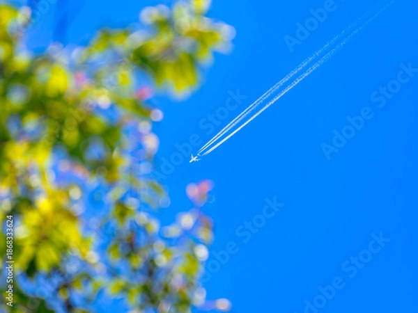 Obraz 快晴の青空に浮かぶ飛行機と新緑の葉