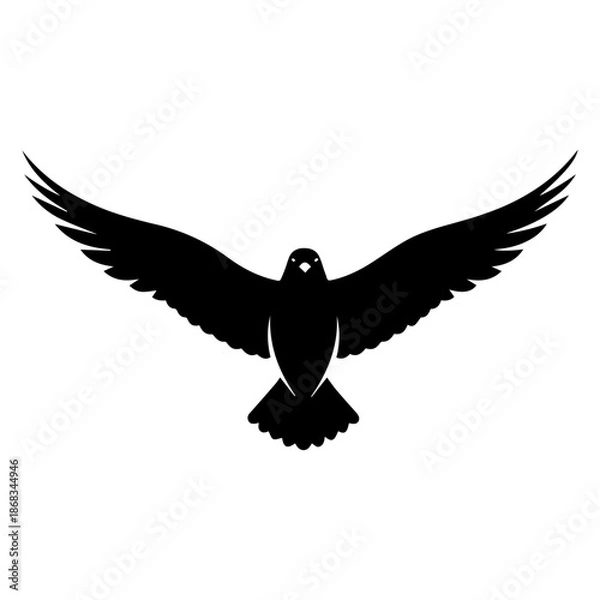 Fototapeta eagle with wings