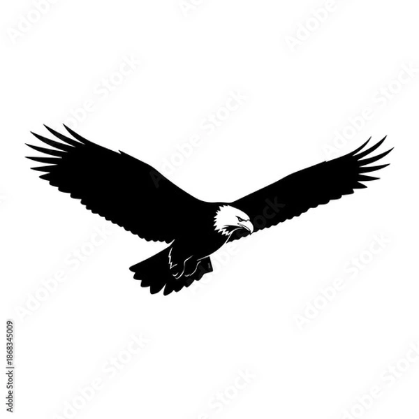 Fototapeta american bald eagle