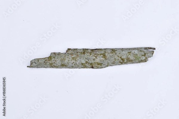 Obraz 
Dry tree bark over white background. Dead bark.