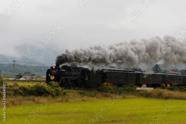 Obraz  黒煙を上げて田園を駆けるSLやまぐち号