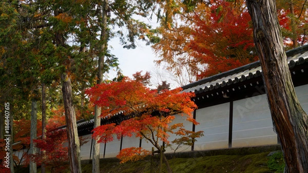 Obraz  木々と建築が織りなす京都の秋