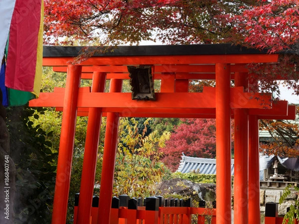 Obraz  紅葉に包まれた朱の鳥居と神域の秋