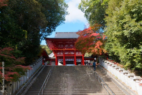 Obraz  文化と季節が織りなす神域の風景