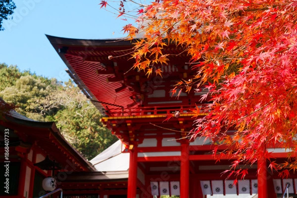 Obraz  文化と季節が織りなす神域の風景