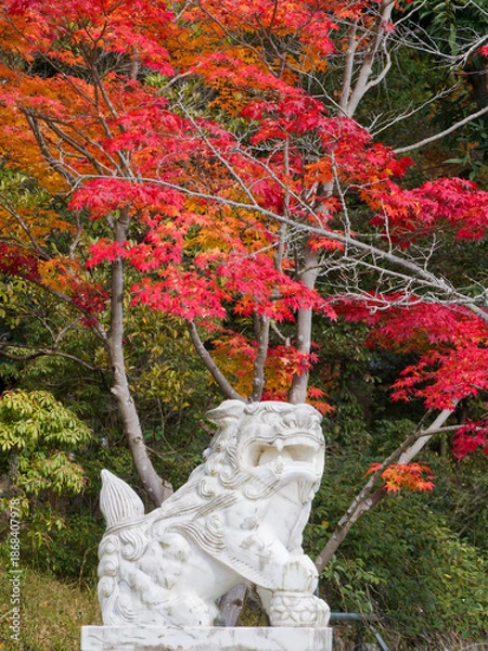Obraz  石獅子が見守る紅葉の風景