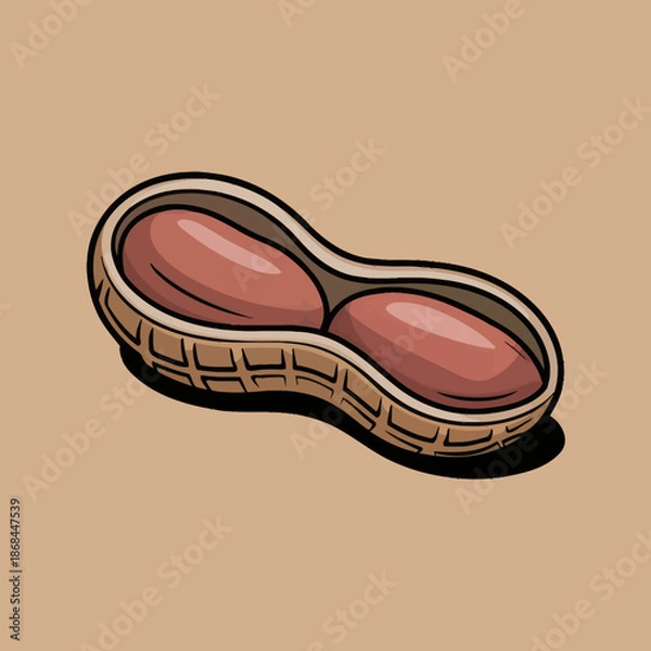 Obraz Illustrated Peanut in Shell on Brown Background