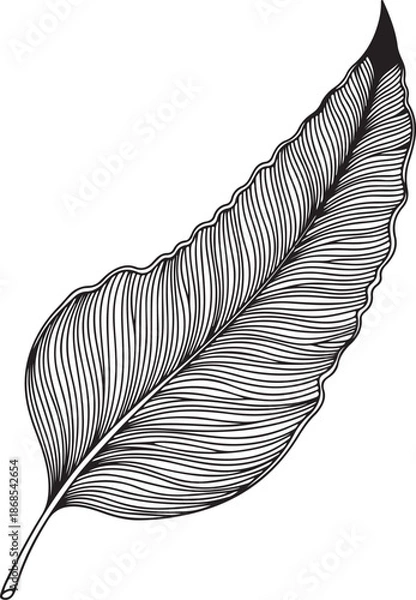 Obraz singleleafillustration