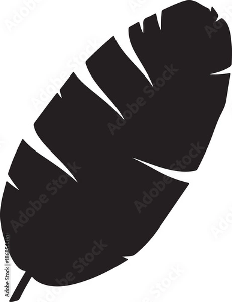 Obraz torn leaf silhouette