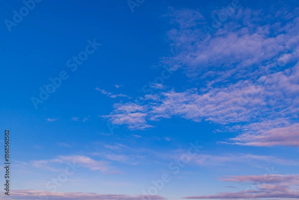 Obraz 一日の始まり