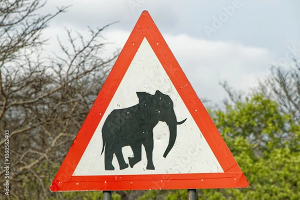 Fototapeta Warnschild Wildwechsel