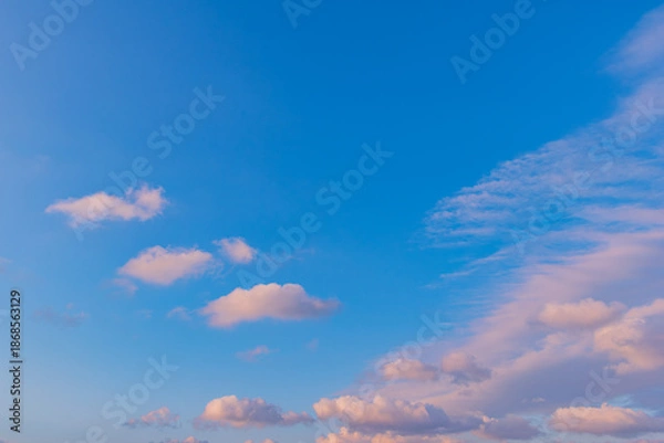 Obraz 飛び立つ雲