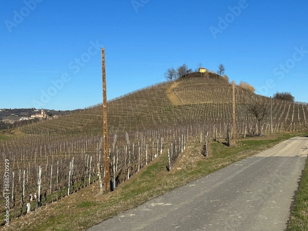 Obraz monferrato