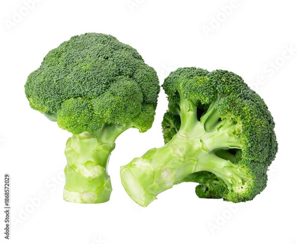 Fototapeta broccoli isolated on white background