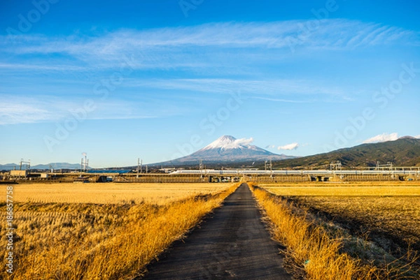 Fototapeta 富士山と新幹線