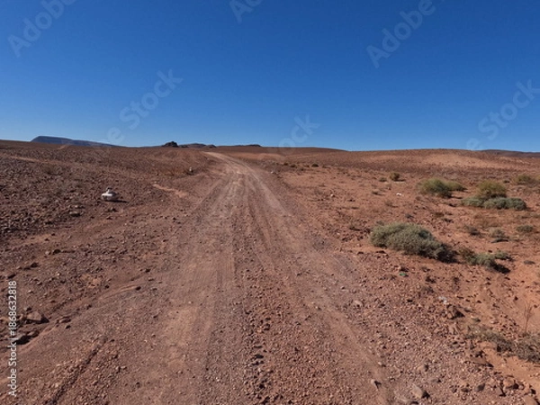 Obraz Dirt Road Through Desert Landscape
